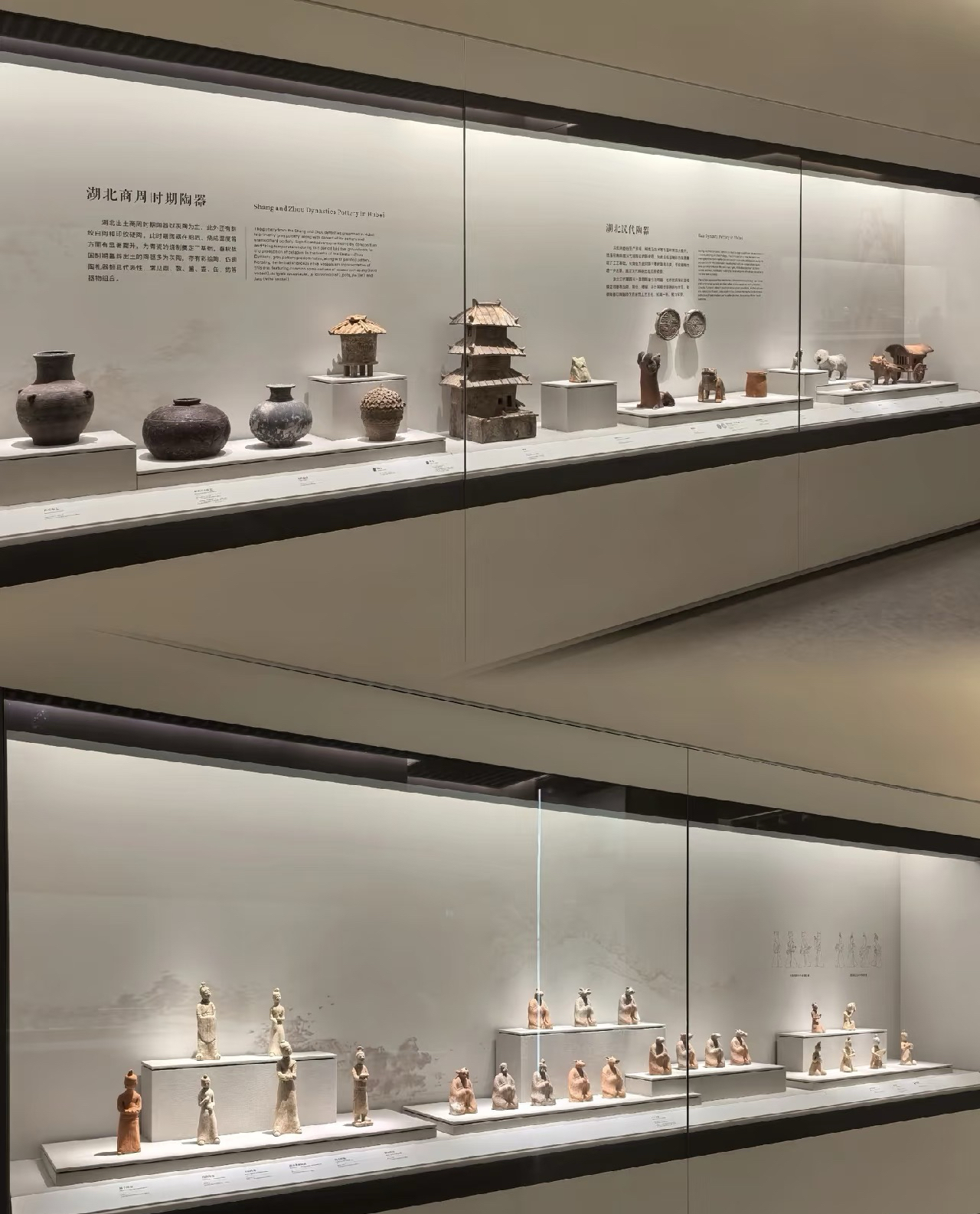 别乱买!博物馆展柜选购,先看文物“脾气”再下单